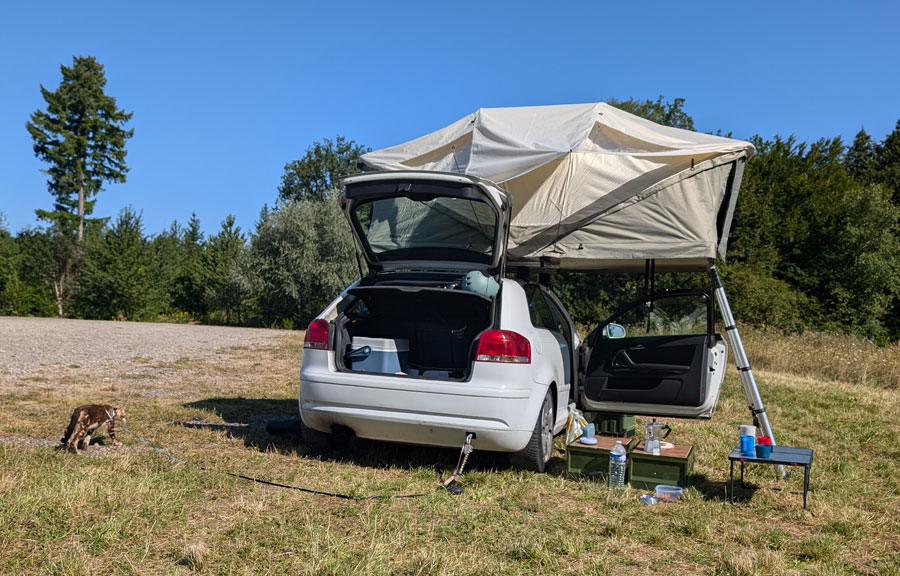 Car with a rooftop tent and a cat.